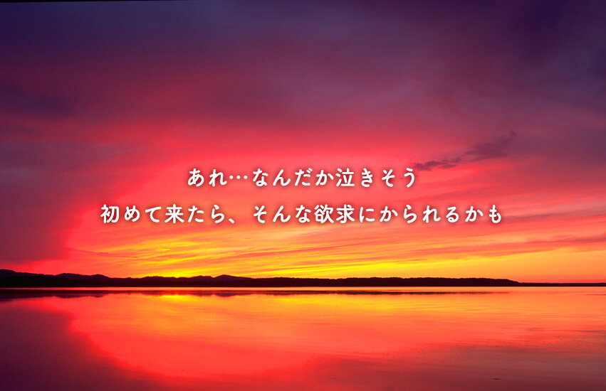 あれ…なんだか泣きそう。初めて来たら、そんな欲求にかられるかも。