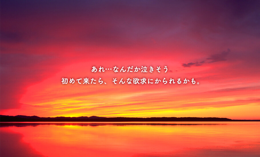 あれ…なんだか泣きそう。初めて来たら、そんな欲求にかられるかも。