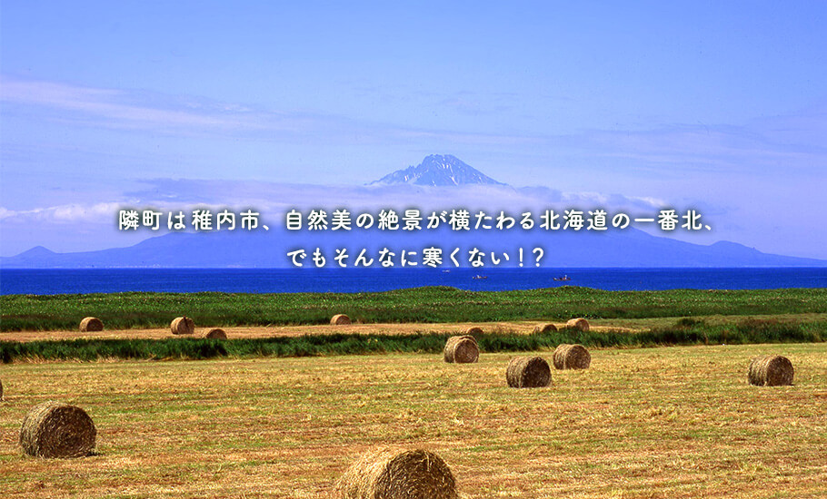 隣町は稚内市、自然美の絶景が横たわる北海道の一番北、でもそんなに寒くない！？